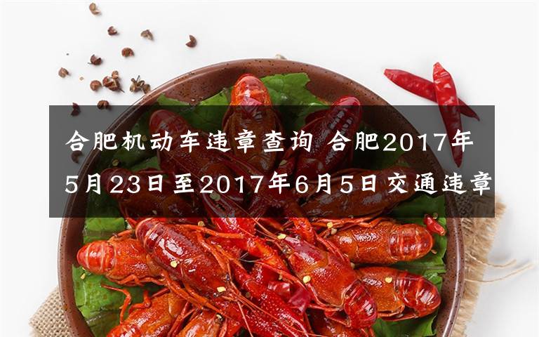 合肥机动车违章查询 合肥2017年5月23日至2017年6月5日交通违章查询