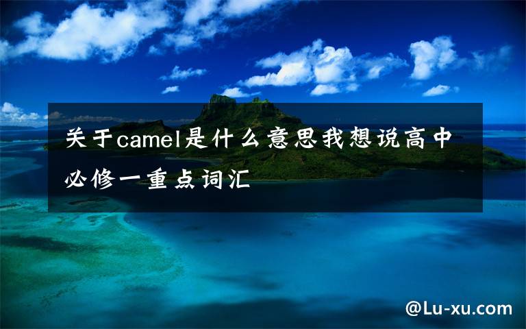 关于camel是什么意思我想说高中必修一重点词汇