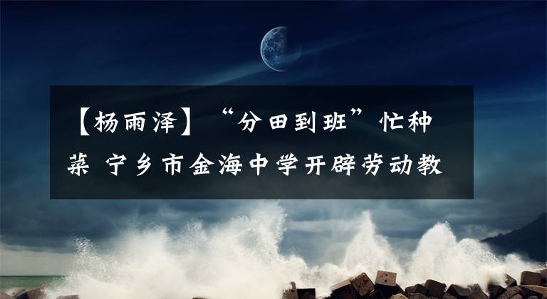 【杨雨泽】“分田到班”忙种菜 宁乡市金海中学开辟劳动教育“实验田”