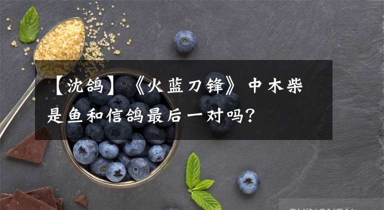 【沈鸽】《火蓝刀锋》中木柴是鱼和信鸽最后一对吗？