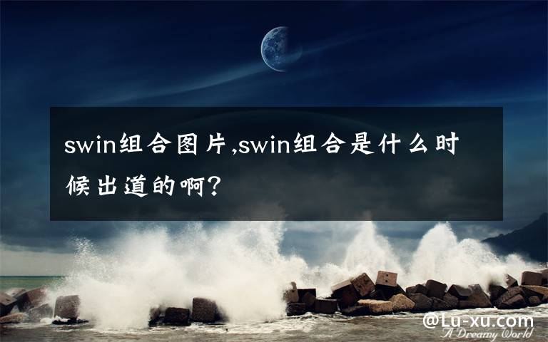 swin组合图片,swin组合是什么时候出道的啊？