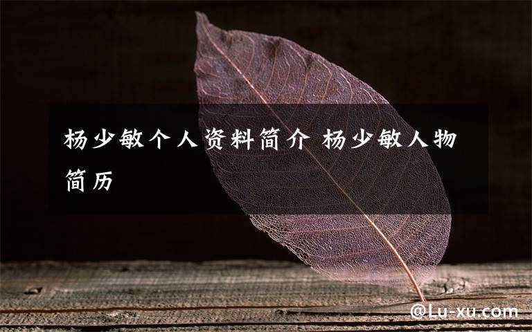 杨少敏个人资料简介 杨少敏人物简历