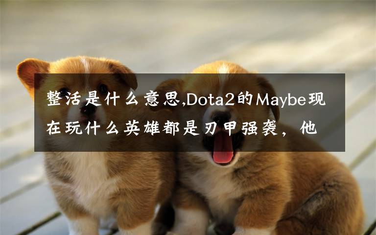 整活是什么意思,Dota2的Maybe现在玩什么英雄都是刃甲强袭，他这样是不是在