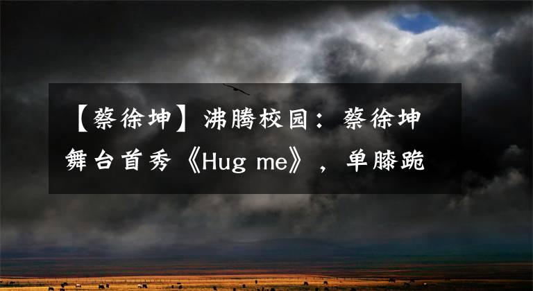 【蔡徐坤】沸腾校园：蔡徐坤舞台首秀《Hug me》，单膝跪地握手，沸腾了