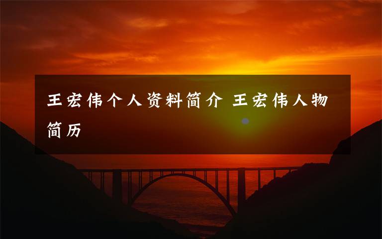 王宏伟个人资料简介 王宏伟人物简历