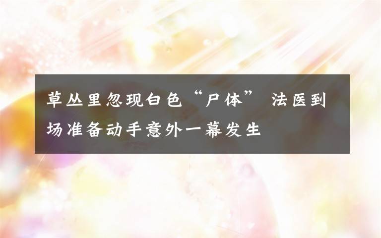 草丛里忽现白色“尸体” 法医到场准备动手意外一幕发生