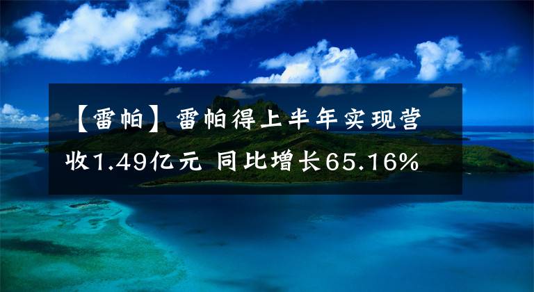 【雷帕】雷帕得上半年实现营收1.49亿元 同比增长65.16%