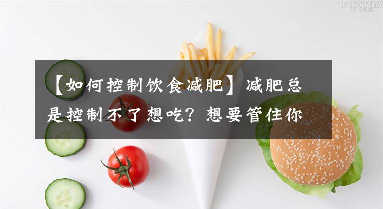 【如何控制饮食减肥】减肥总是控制不了想吃？想要管住你的“嘴”，可以使用这5个方法