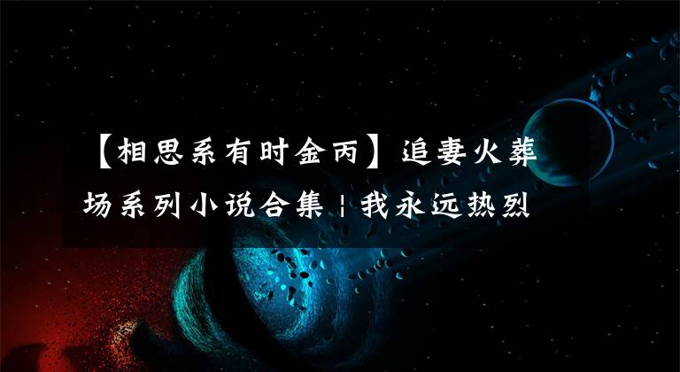 【相思系有时金丙】追妻火葬场系列小说合集 | 我永远热烈，并且耀眼地爱你