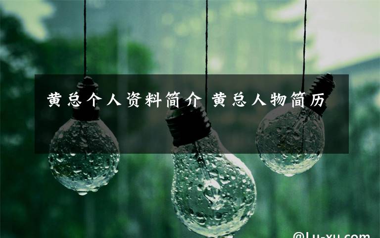 黄总个人资料简介 黄总人物简历文章配图