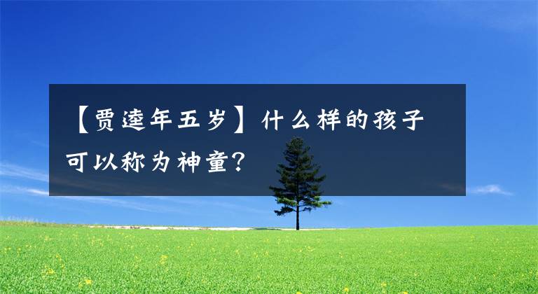 【贾逵年五岁】什么样的孩子可以称为神童？