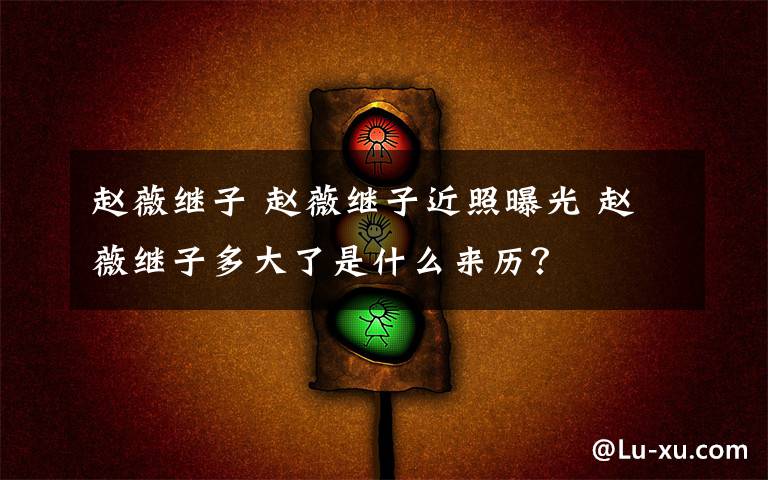 赵薇继子 赵薇继子近照曝光 赵薇继子多大了是什么来历？文章配图