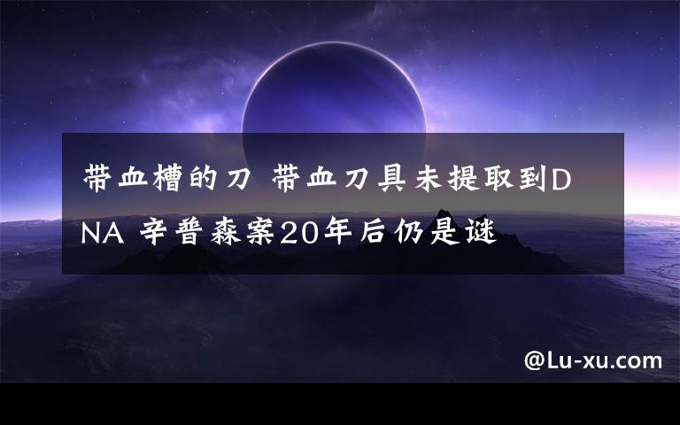 带血槽的刀 带血刀具未提取到DNA 辛普森案20年后仍是谜