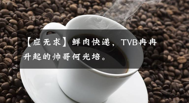 【应无求】鲜肉快递，TVB冉冉升起的帅哥何光培。