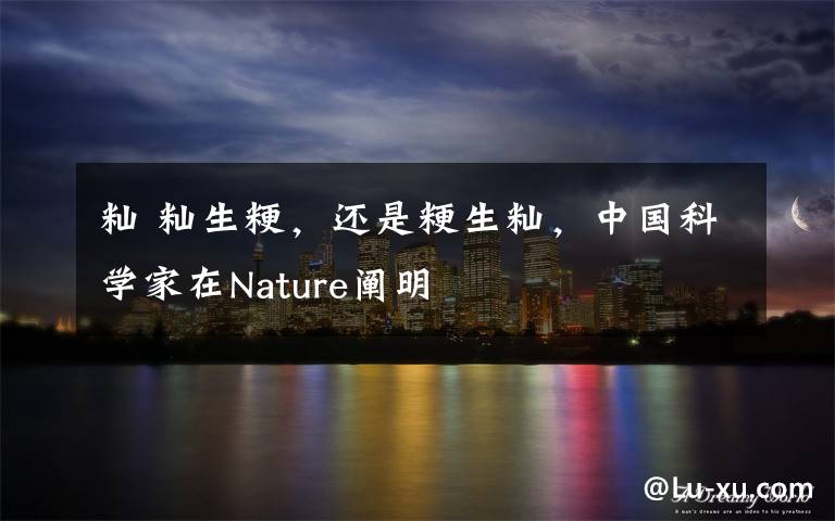 籼 籼生粳，还是粳生籼，中国科学家在Nature阐明