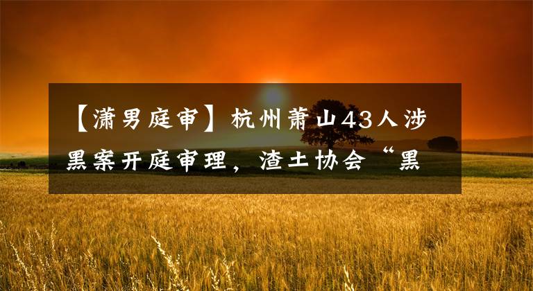【潇男庭审】杭州萧山43人涉黑案开庭审理，渣土协会“黑会长”当庭认罪