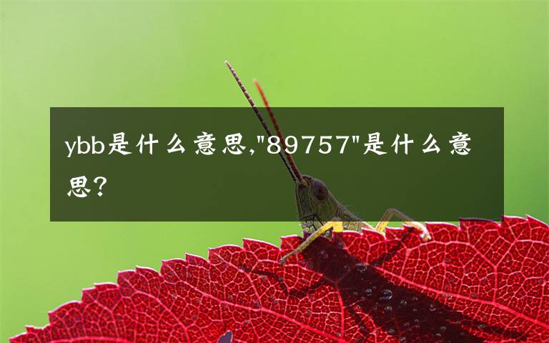 ybb是什么意思,