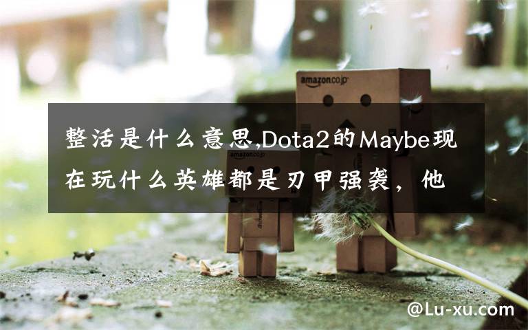 整活是什么意思,Dota2的Maybe现在玩什么英雄都是刃甲强袭，他这样是不是在