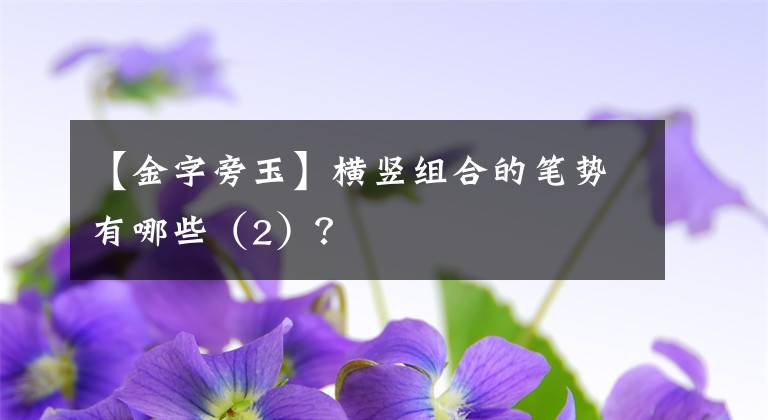 【金字旁玉】横竖组合的笔势有哪些（2）？