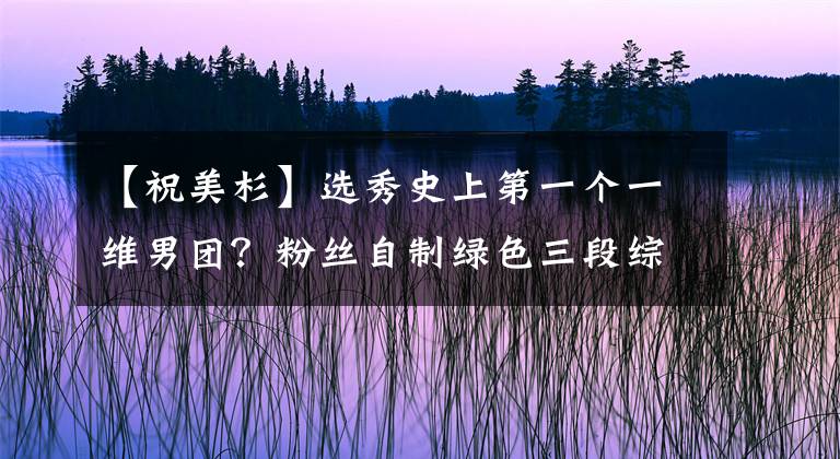 【祝美杉】选秀史上第一个一维男团？粉丝自制绿色三段综合，写作建模自助追星