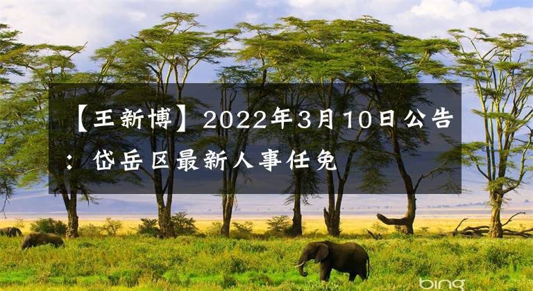 【王新博】2022年3月10日公告：岱岳区最新人事任免