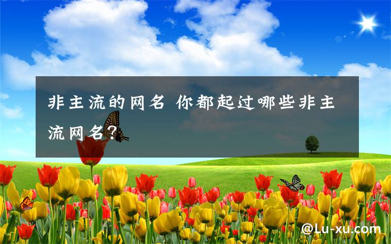 非主流的网名 你都起过哪些非主流网名？