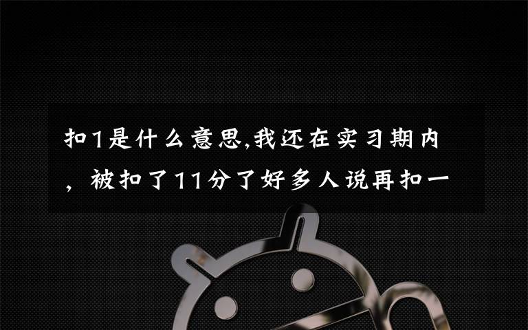 扣1是什么意思,我还在实习期内，被扣了11分了好多人说再扣一分就被吊销驾驶证，但这信息什么意思啊？