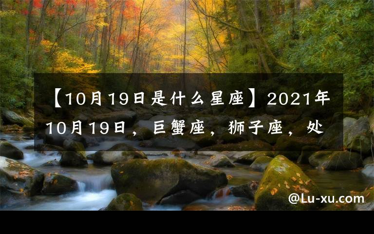 【10月19日是什么星座】2021年10月19日，巨蟹座，狮子座，处女座，每日运势