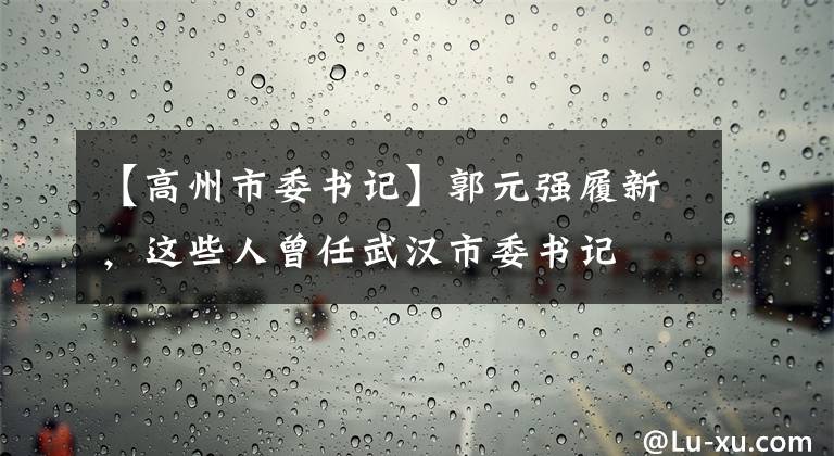 【高州市委书记】郭元强履新，这些人曾任武汉市委书记