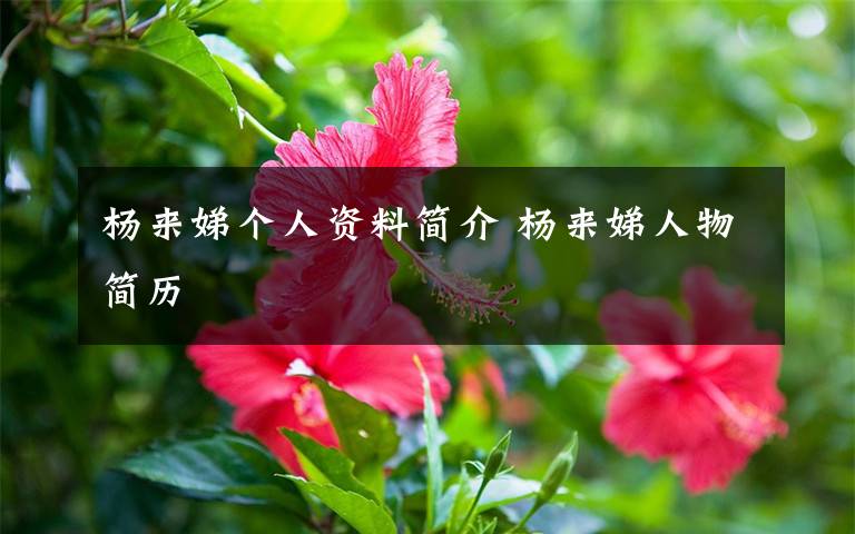 杨来娣个人资料简介 杨来娣人物简历文章配图