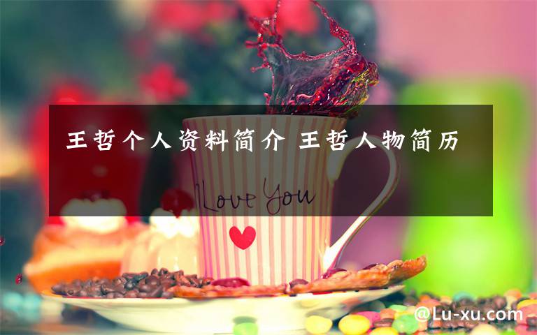王哲个人资料简介 王哲人物简历文章配图
