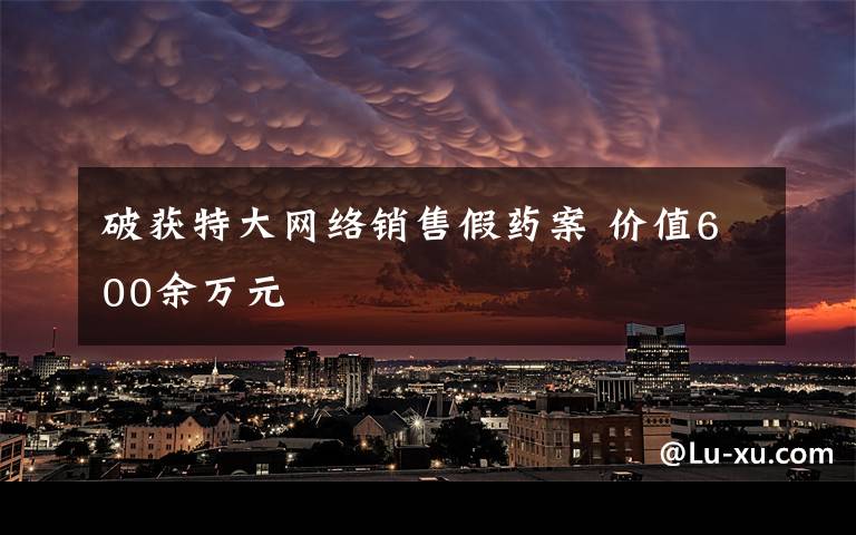 破获特大网络销售假药案 价值600余万元