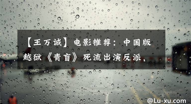 【王万诚】电影推荐：中国版越狱《青盲》死流出演反派，方村之间起伏不定。