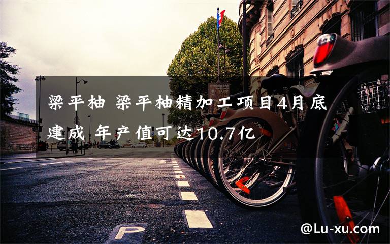 梁平柚 梁平柚精加工项目4月底建成 年产值可达10.7亿