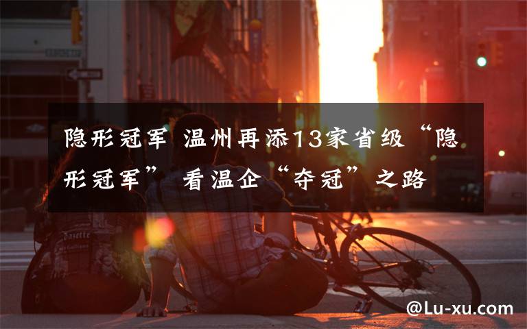 隐形冠军 温州再添13家省级“隐形冠军” 看温企“夺冠”之路