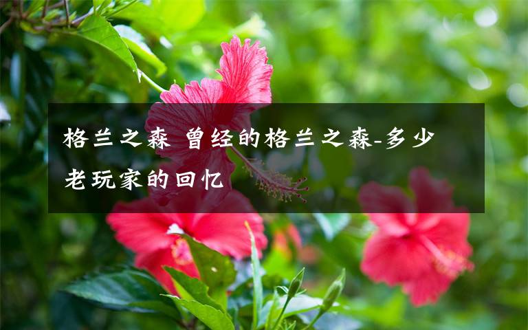 格兰之森 曾经的格兰之森-多少老玩家的回忆