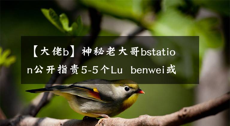 【大佬b】神秘老大哥bstation公开指责5-5个Lu  benwei或已经发生大灾难