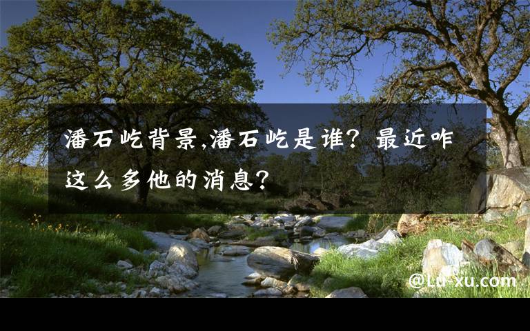 潘石屹背景,潘石屹是谁？最近咋这么多他的消息？