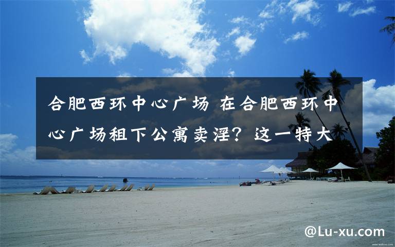 合肥西环中心广场 在合肥西环中心广场租下公寓卖淫？这一特大网络组织卖淫案宣判