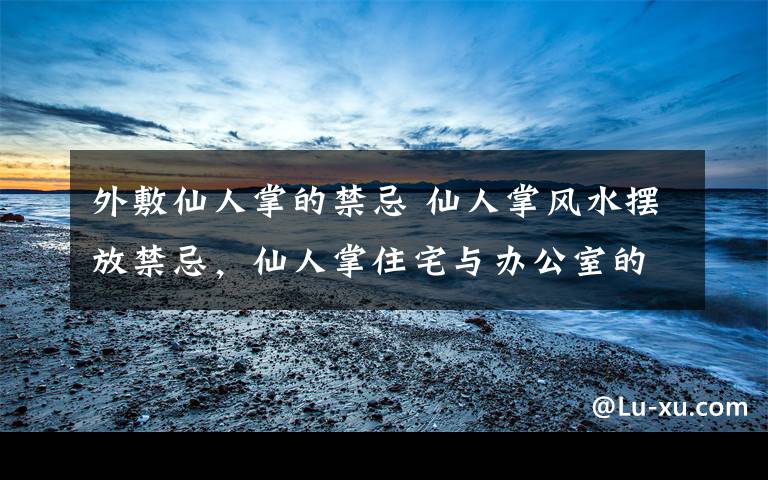 外敷仙人掌的禁忌 仙人掌风水摆放禁忌，仙人掌住宅与办公室的摆放风水！