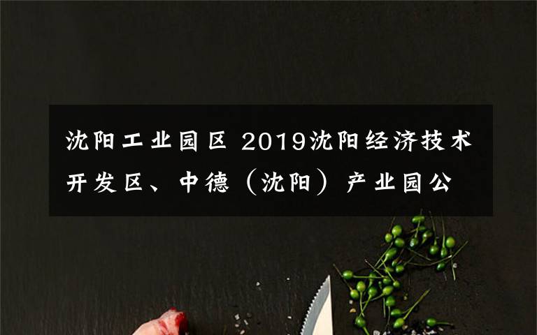 沈阳工业园区 2019沈阳经济技术开发区、中德（沈阳）产业园公开选聘64人公告