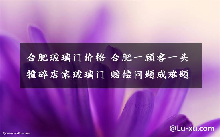 合肥玻璃门价格 合肥一顾客一头撞碎店家玻璃门 赔偿问题成难题