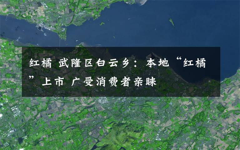 红橘 武隆区白云乡：本地“红橘”上市 广受消费者亲睐