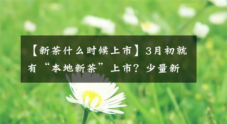 【新茶什么时候上市】3月初就有“本地新茶”上市？少量新茶来自外地茶加工