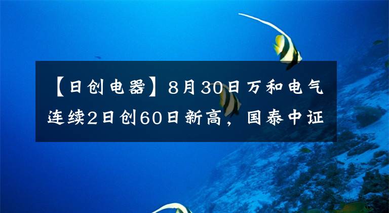 【日创电器】8月30日万和电气连续2日创60日新高，国泰中证全指家电ETF基金重仓该股