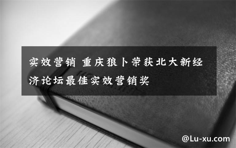 实效营销 重庆狼卜荣获北大新经济论坛最佳实效营销奖