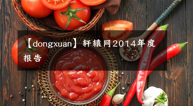 【dongxuan】轩辕网2014年度报告