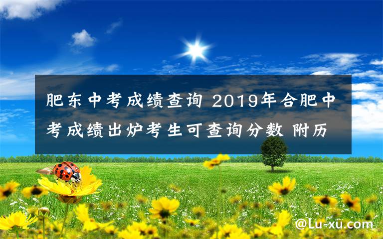 肥东中考成绩查询 2019年合肥中考成绩出炉考生可查询分数 附历年合肥四中统招分数