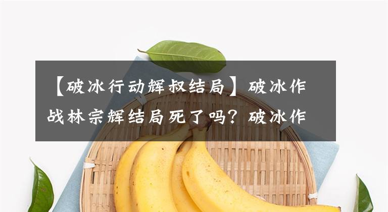 【破冰行动辉叔结局】破冰作战林宗辉结局死了吗？破冰作战林宗辉是怎么死的？