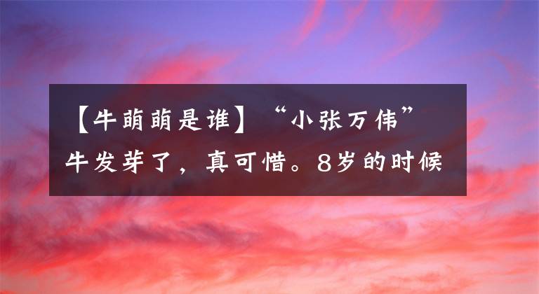 【牛萌萌是谁】“小张万伟”牛发芽了，真可惜。8岁的时候演电影，和张默分手，太生气了，变成了网红。